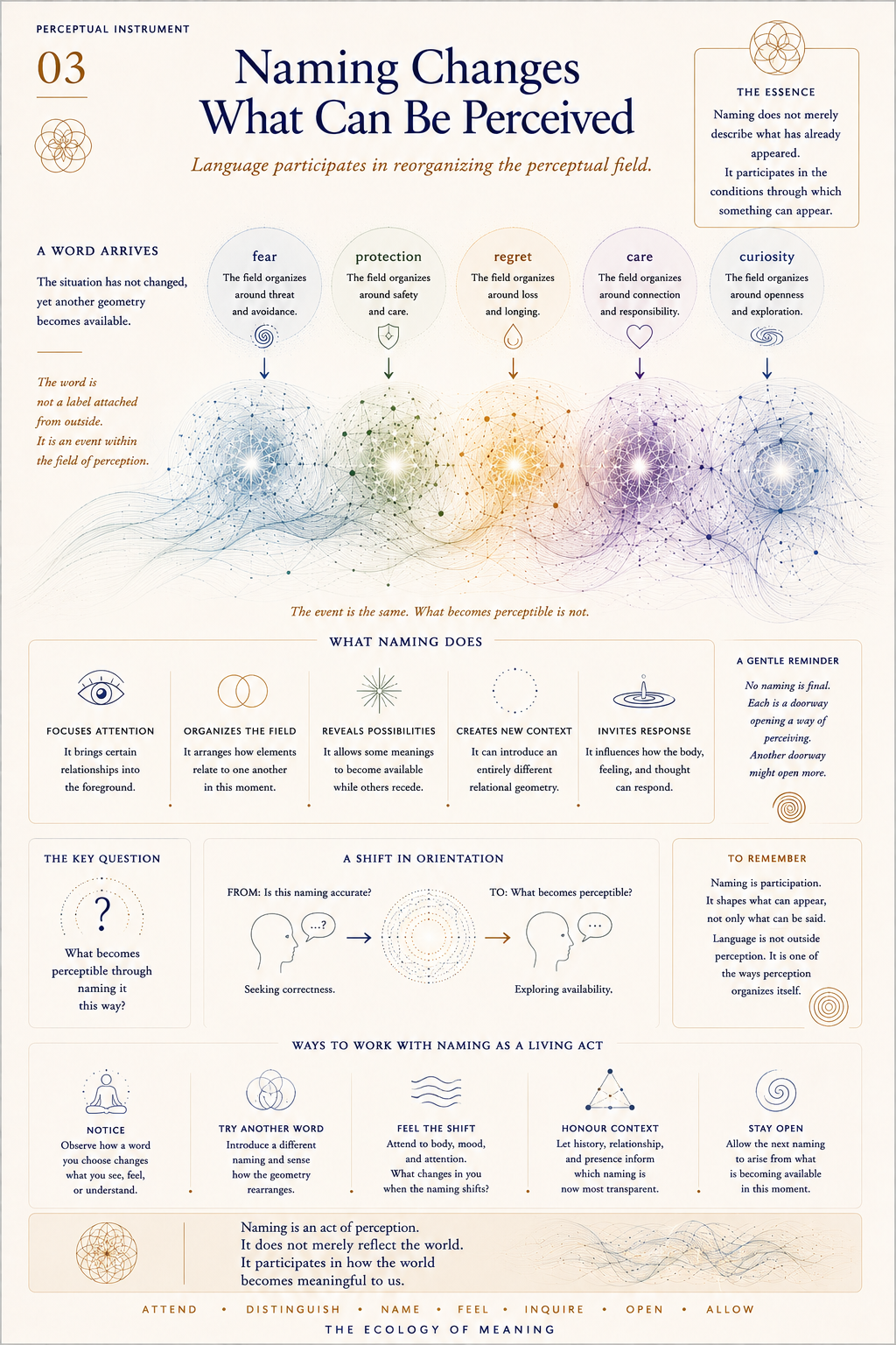 Perceptual Instrument 03 — Naming Changes What Can Be Perceived