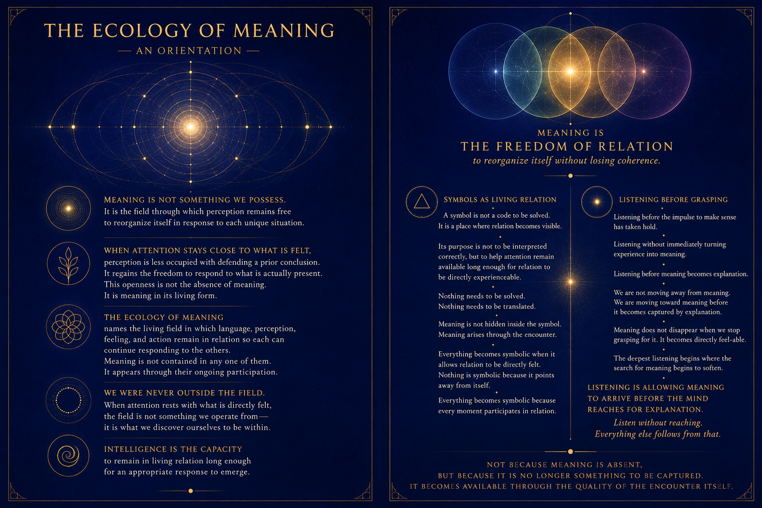 The Ecology of Meaning orientation and freedom of relation visual instrument
